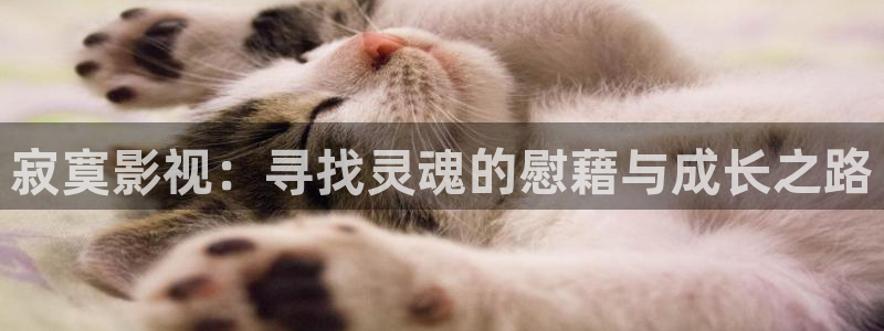 橘子視頻官網(wǎng)網(wǎng)址：寂寞影視：尋找靈魂的慰藉與成長之路