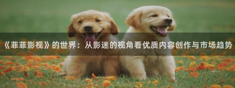 橘子電影完整版免費觀看