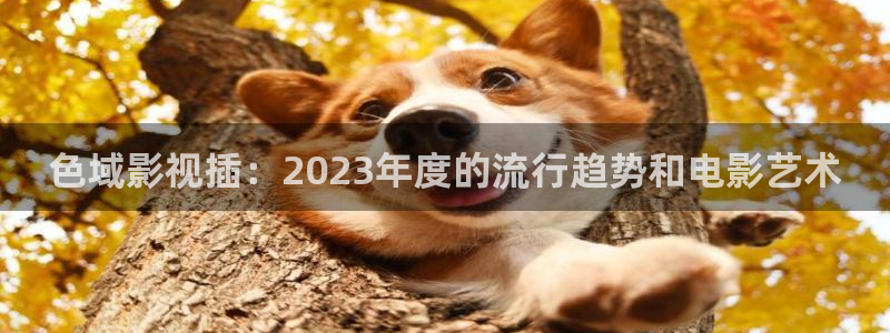 橘子視頻app免費(fèi)：色域影視插：2023年度的流行趨勢(shì)和電影藝術(shù)
